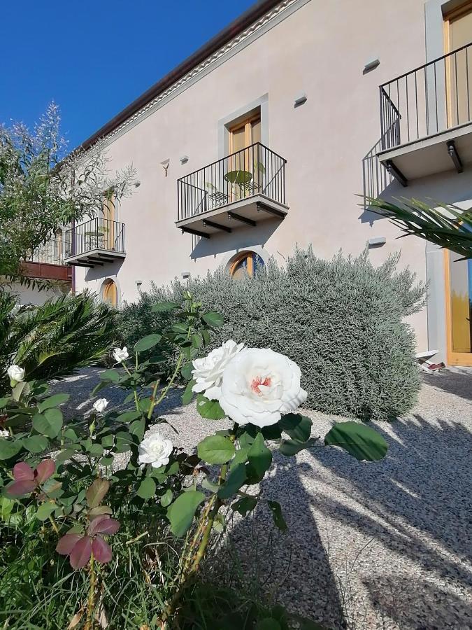 Alimunera Naso Exterior photo